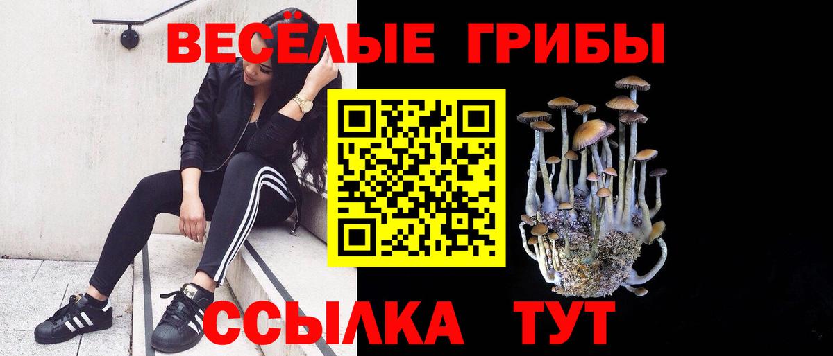 Галлюциногенные грибы ЛСД  Вход с VPN  Ачхой-Мартан 