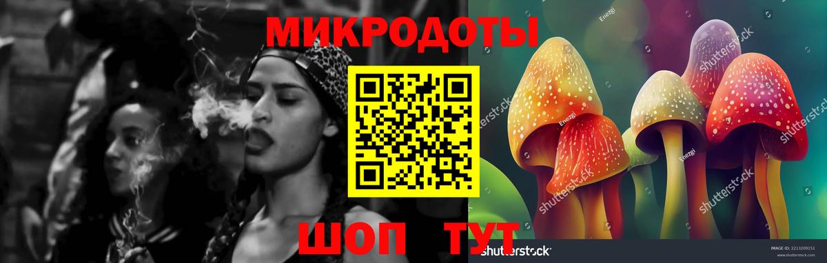 Псилоцибиновые грибы Psilocybine cubensis Ачхой-Мартан