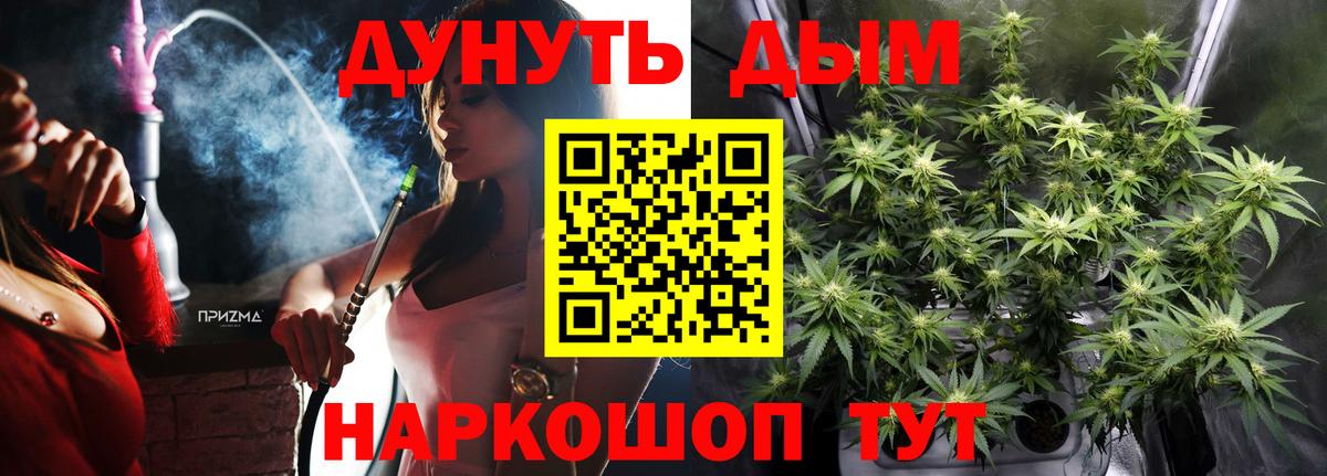 Канабис конопля Ачхой-Мартан